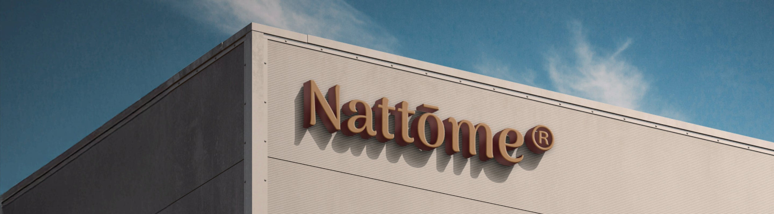 A DECADE AND COUNTING