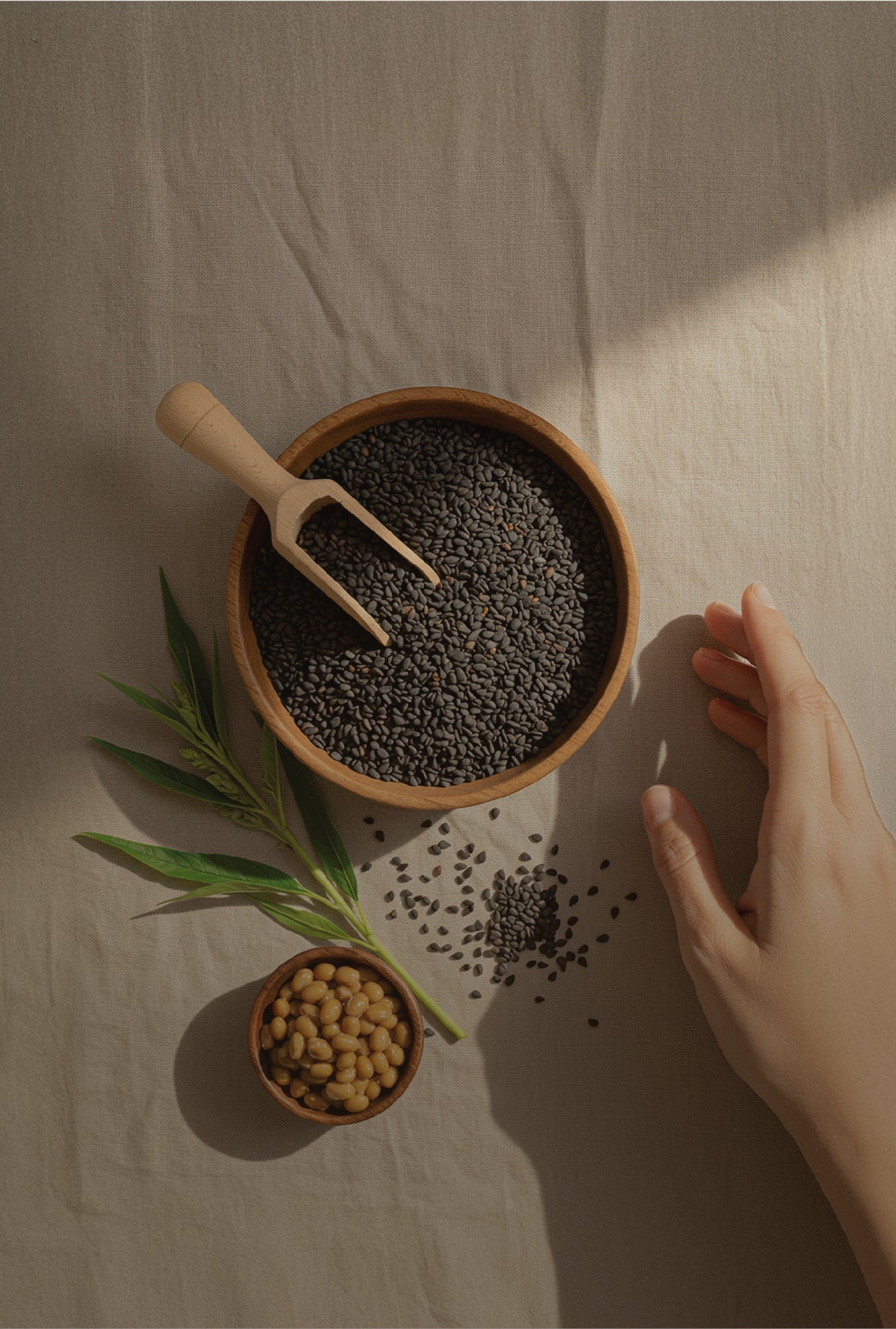 Why Our Customers Love Us