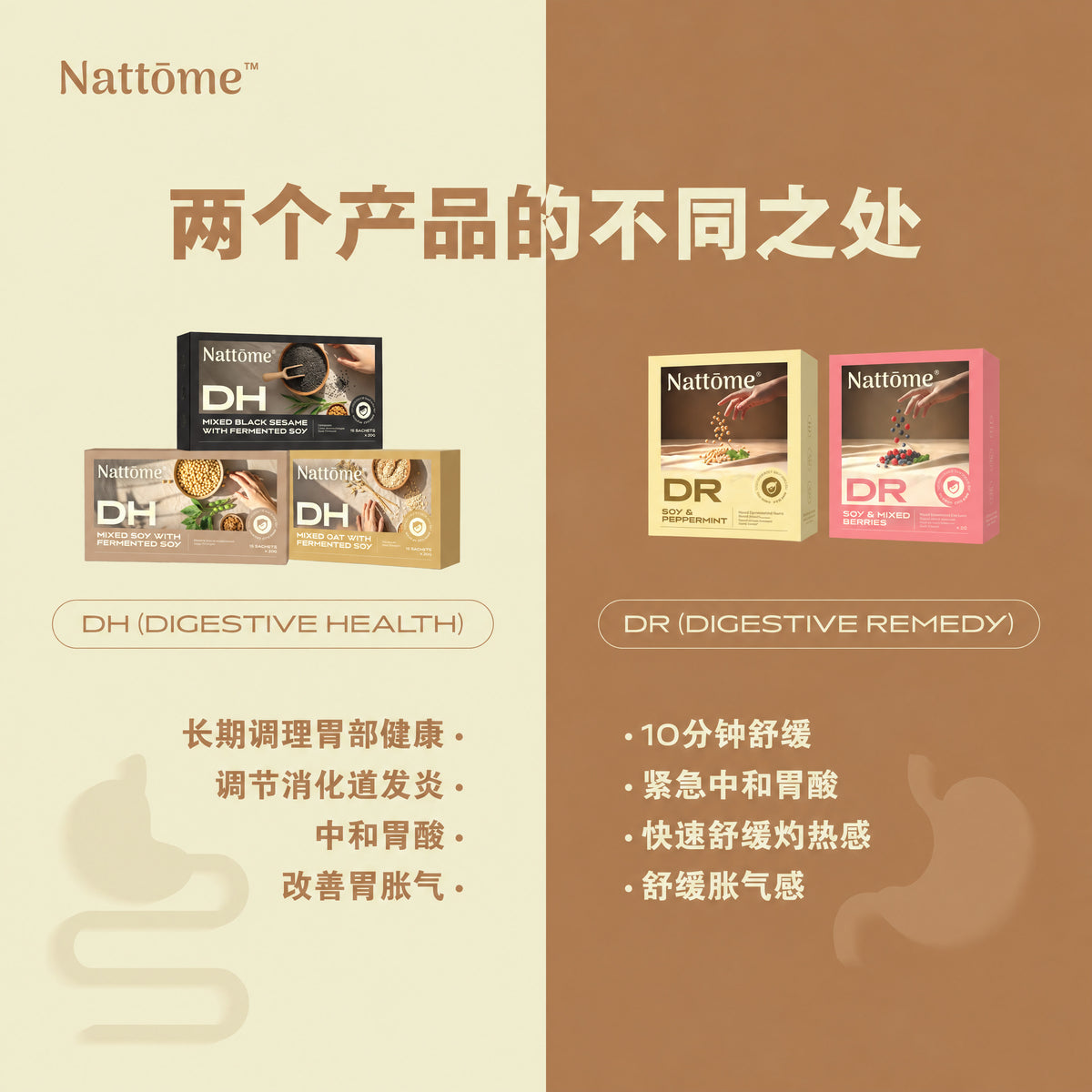 2026 NTM x 包妈直播 - 2盒 DH 护胃营养餐